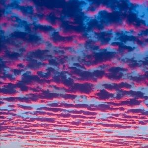 Meet your Posher, Lexi